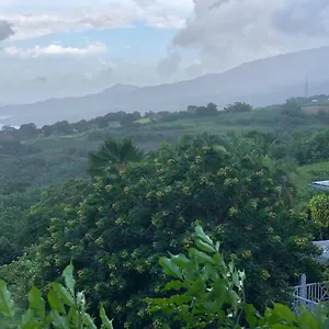 Mango Chalet